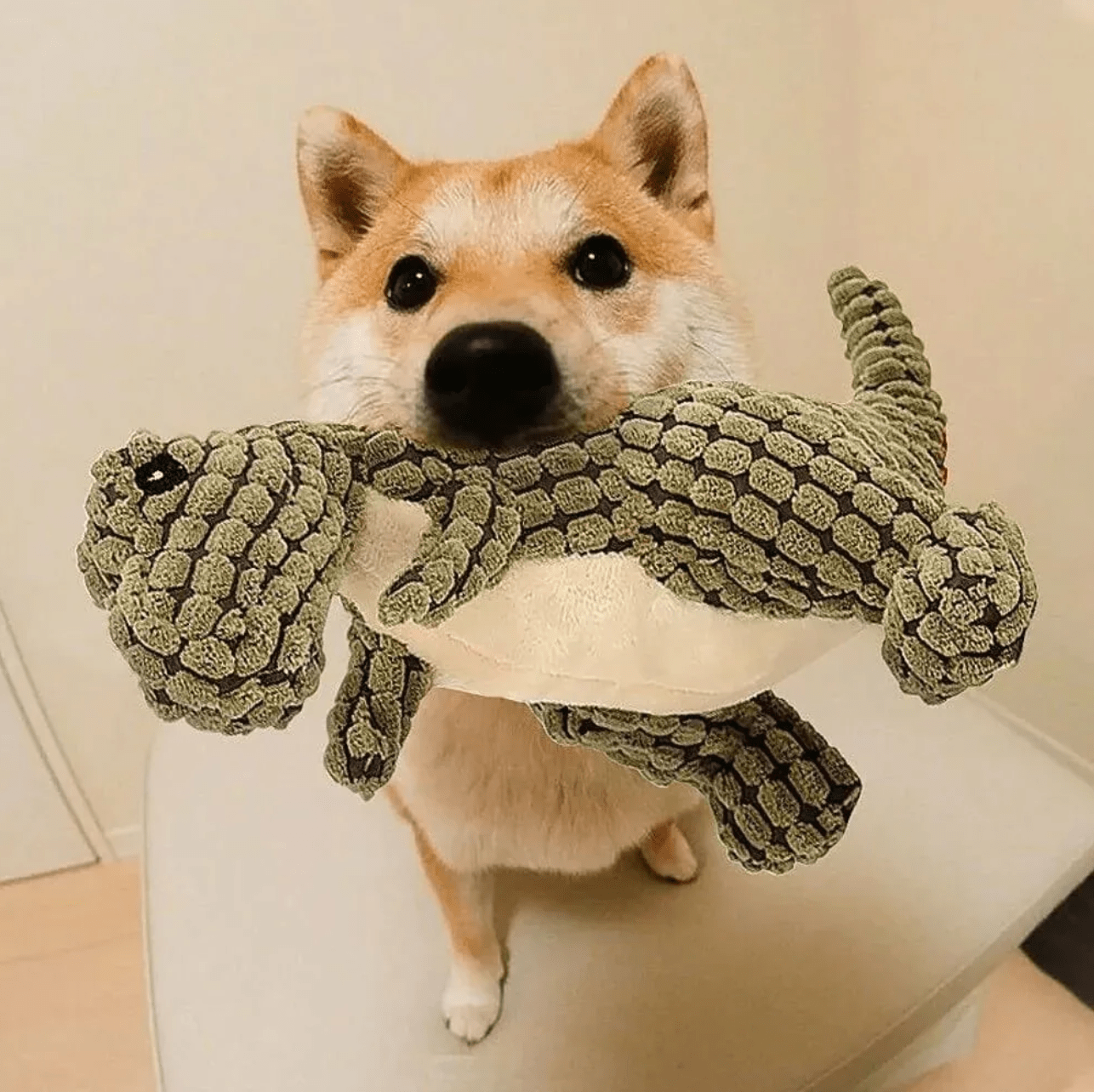 Dog Squeaky Dinosaur Toy Corduroy Plush Non-Toxic Chew Fetch Indoor Dino Dog Toy Small Medium Large Multiple Colours | Koossa