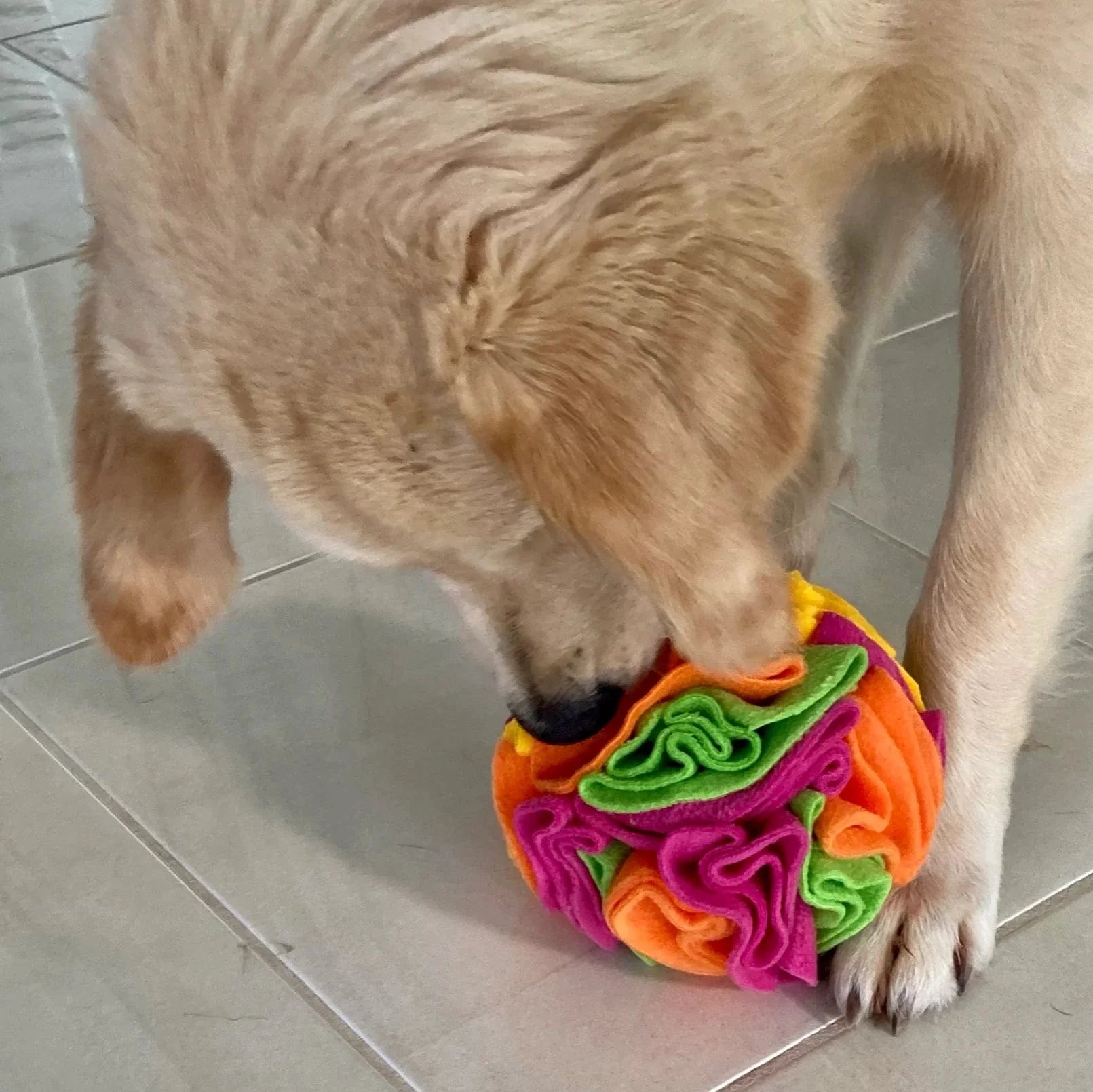 Dog Snuffle Ball Interactive Puzzle Toy 15cm Treat Hide Nose Work Mental Stimulation Washable Anxiety Relief | Koossa