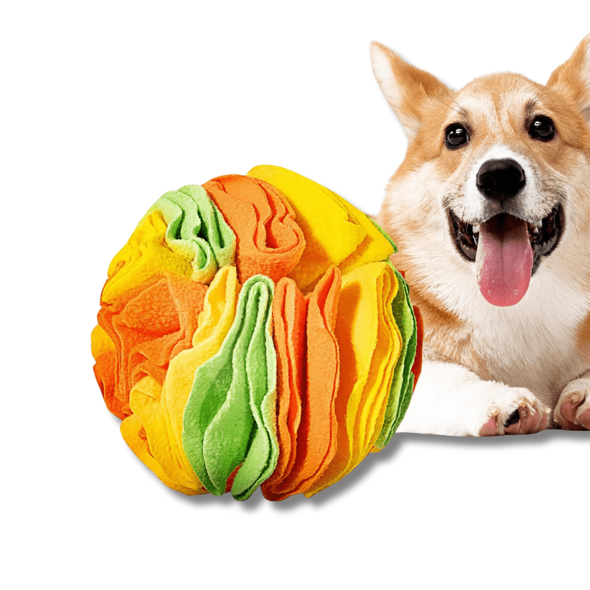 Dog Snuffle Ball Interactive Puzzle Toy 15cm Treat Hide Nose Work Mental Stimulation Washable Anxiety Relief | Koossa