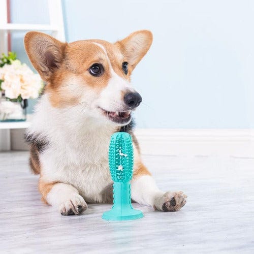 Dog Dental Chew Toy Natural Rubber Toothbrush Suction Cup Molar Cleaner Interactive Dog Teeth Cleaning Toy Small Medium Large Green Blue Red | Koossa