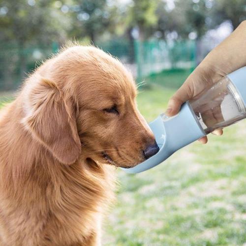 Dog Water Bottle Portable 2-in-1 Snack Dispenser Leak-Proof BPA-Free Travel Dog Water Bottle Foldable Bowl Walking Hiking Outdoor | Koossa