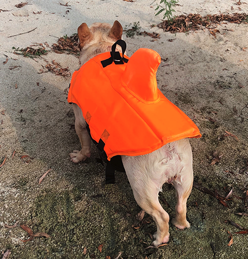 Dog Life Jacket Shark Fin Buoyant Diving Fabric French Bulldog Swim Vest Quick-Release Buckle Grab Handle D-Ring Water Safety | Koossa
