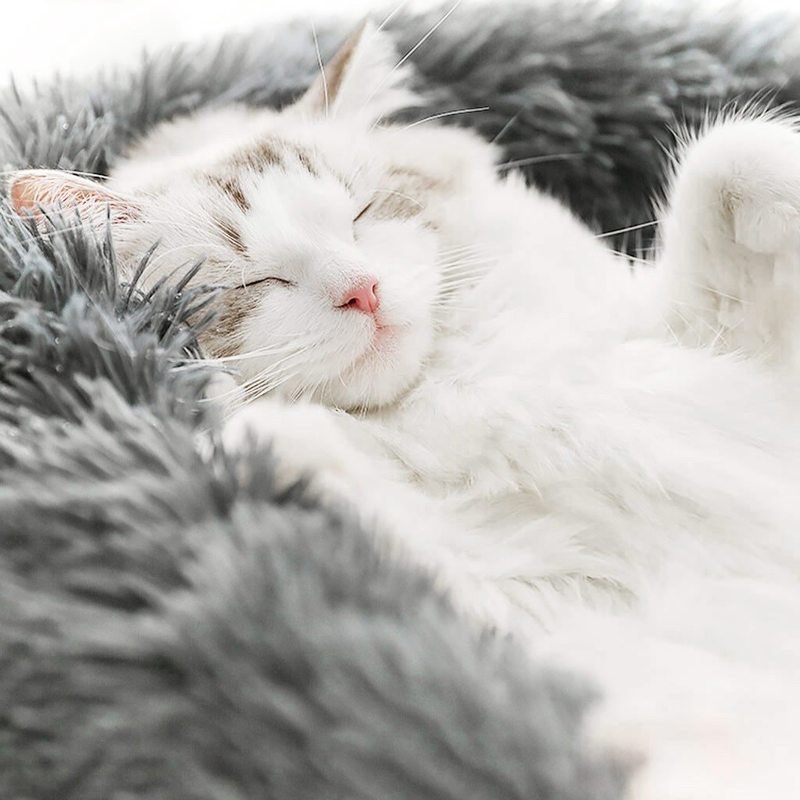 Calming Dog Bed Cat Bed Anti Anxiety Donut Round Plush Raised Rim Washable Soft Faux Fur XS S M L XL XXL 17 Colours Orthopaedic Support | Koossa