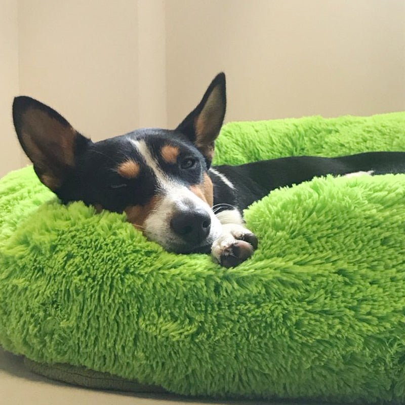 Calming Dog Bed Cat Bed Anti Anxiety Donut Round Plush Raised Rim Washable Soft Faux Fur XS S M L XL XXL 17 Colours Orthopaedic Support | Koossa