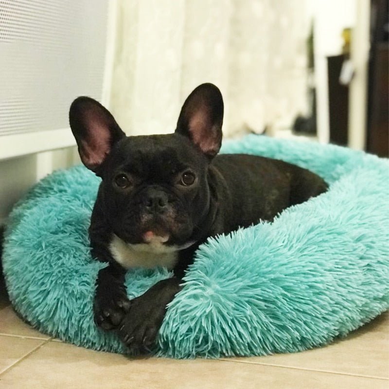 Calming Dog Bed Cat Bed Anti Anxiety Donut Round Plush Raised Rim Washable Soft Faux Fur XS S M L XL XXL 17 Colours Orthopaedic Support | Koossa