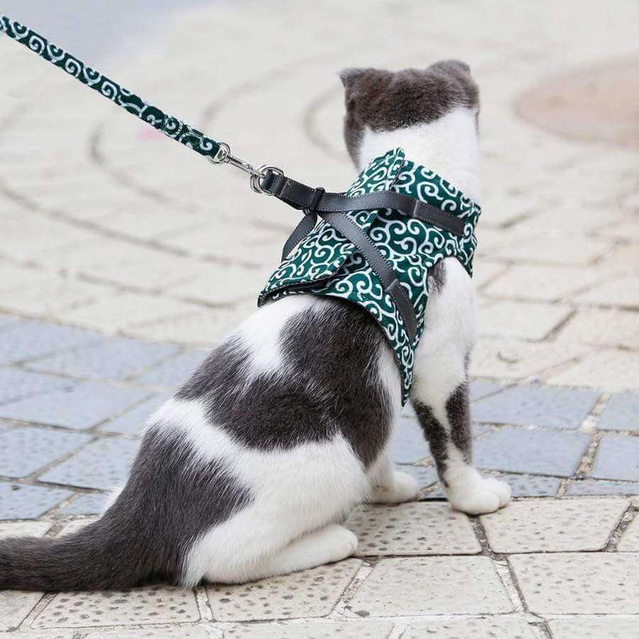 Cat Harness Vest Mesh Escape-Proof Adjustable Small Kitten Lead Set Outdoor Walking Leash | Koossa