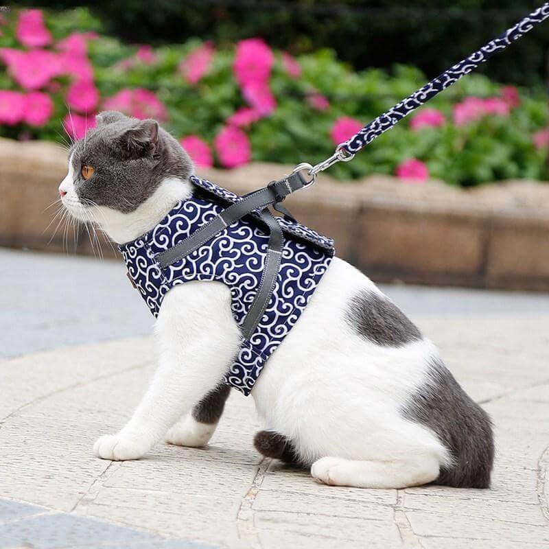 Cat Harness Vest Mesh Escape-Proof Adjustable Small Kitten Lead Set Outdoor Walking Leash | Koossa