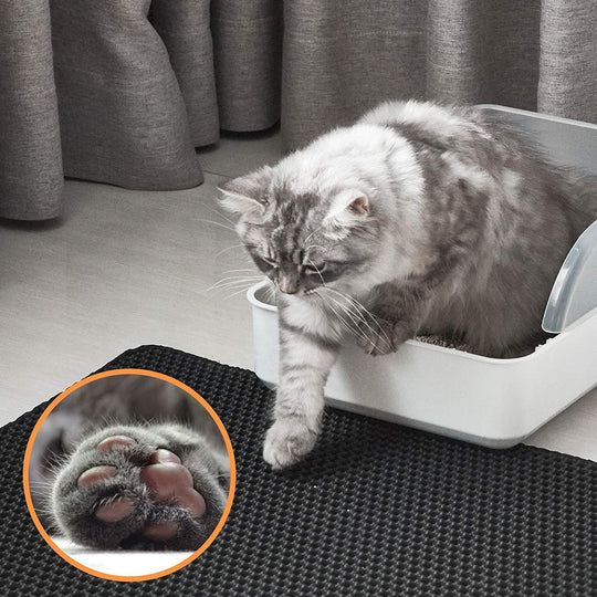 Cat Litter Mat Waterproof EVA Double Layer Small Medium Large Trapping Non-Slip Floor Protector Indoor Kitten Toilet Area | Koossa