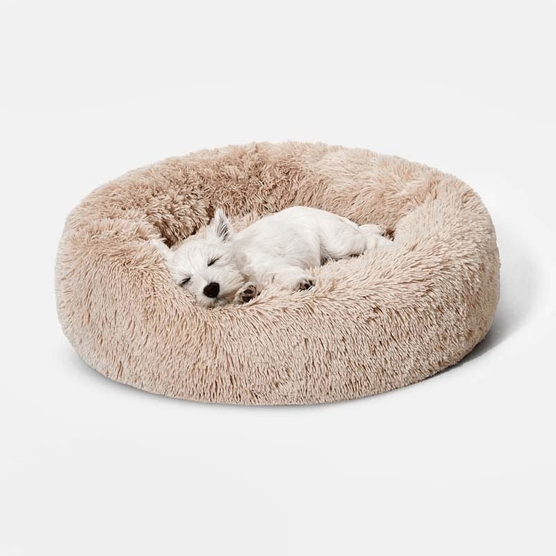 Round Pet Bed Plush Donut Dog Cat Cushion Raised Rim S M L XL Washable Cover Indoor Calming Nest Bolster | Koossa