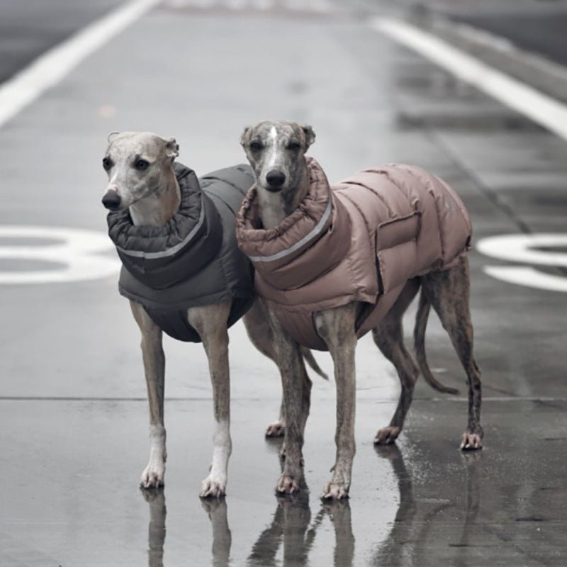 Dog Padded Jacket Vest Polyester Windproof Waterproof S to XL Whippet Greyhound Winter Coat Zip Button | Koossa