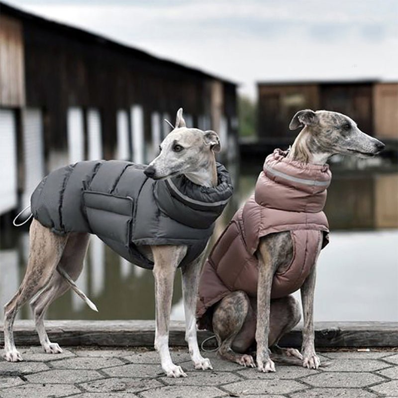 Dog Padded Jacket Vest Polyester Windproof Waterproof S to XL Whippet Greyhound Winter Coat Zip Button | Koossa