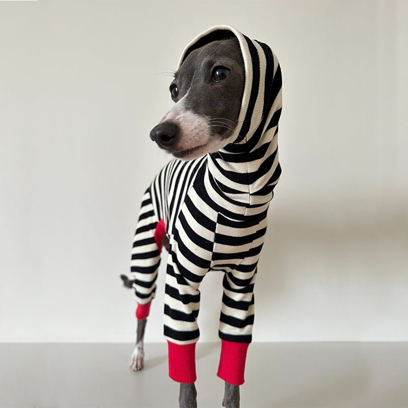 Dog Cotton Onesie Striped Pure Cotton Whippet Greyhound Sizes 1–10 Four-Leg Jumpsuit Iggy Outfit | Koossa