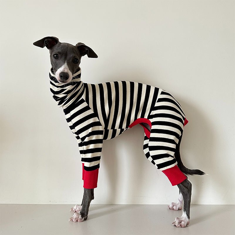 Dog Cotton Onesie Striped Pure Cotton Whippet Greyhound Sizes 1–10 Four-Leg Jumpsuit Iggy Outfit | Koossa