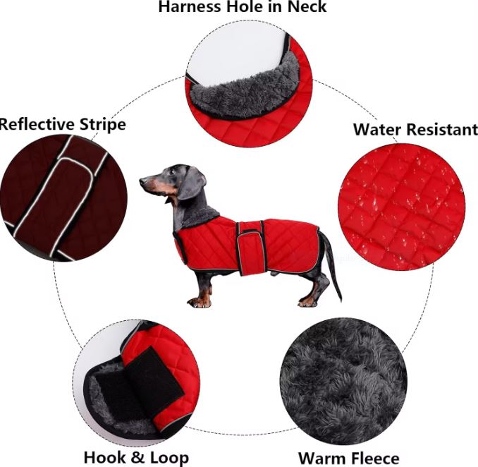 Dachshund Winter Coat Water-Resistant Windproof 3-Layer Fleece Lined Reflective Quilted Dog Jacket S–XL Sausage Dog | Koossa