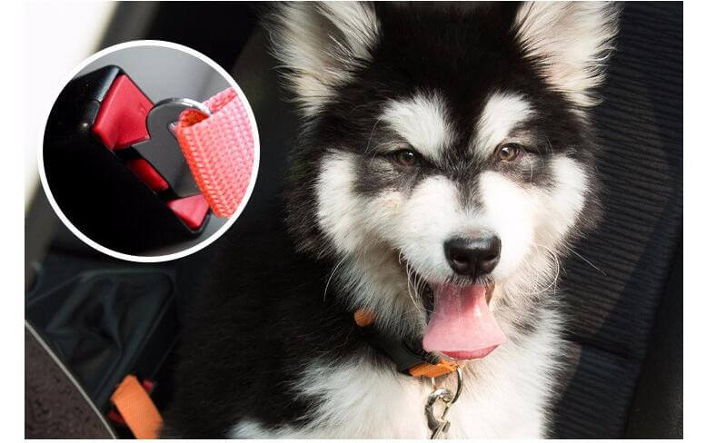 Dog Car Seatbelt Adjustable Nylon 2-in-1 Lead Clip Safety Harness Restraint Travel Strap Universal Fit Vehicle | Koossa