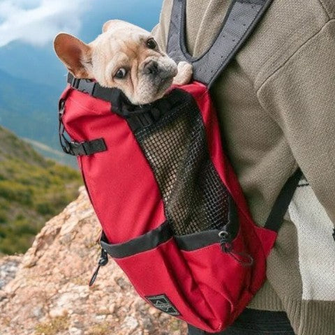 Dog Carrier Backpack Breathable Mesh French Bulldog Travel Rucksack Padded Straps Reinforced Base Anti-Scratch Ventilated Hands-Free | Koossa