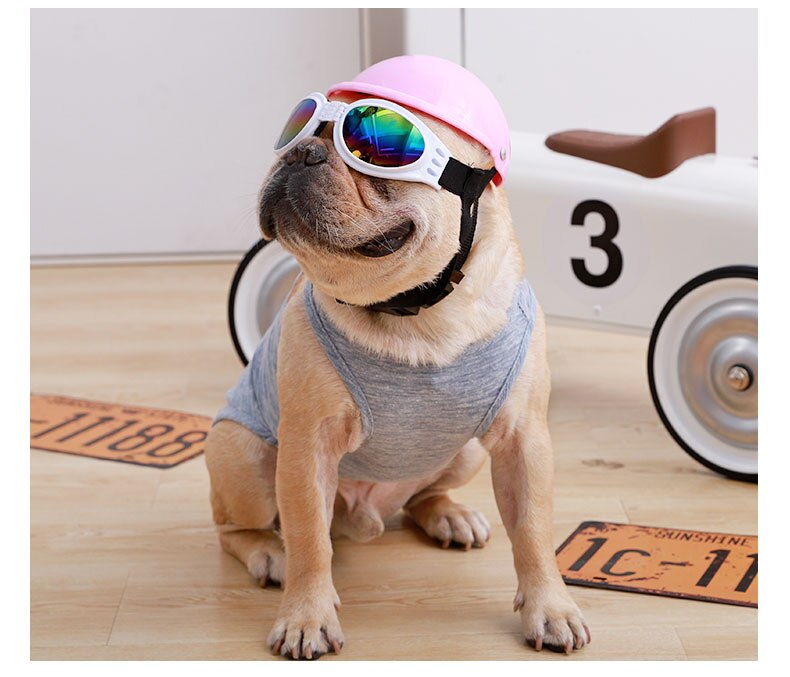 Dog Goggles UV Protection Anti-Fog Waterproof French Bulldog Sunglasses Flat-Face Fit Adjustable Strap Small Dog Eye Protection | Koossa