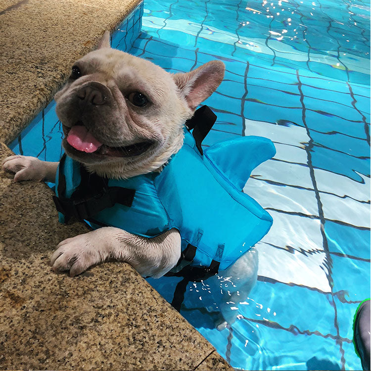 Dog Life Jacket Shark Fin Buoyant Diving Fabric French Bulldog Swim Vest Quick-Release Buckle Grab Handle D-Ring Water Safety | Koossa