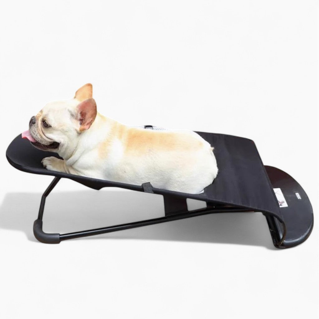 Dog Rocking Lounger Foldable Breathable French Bulldog Elevated Bed Antibacterial Fabric Portable Indoor Outdoor Small Dog Bouncer | Koossa