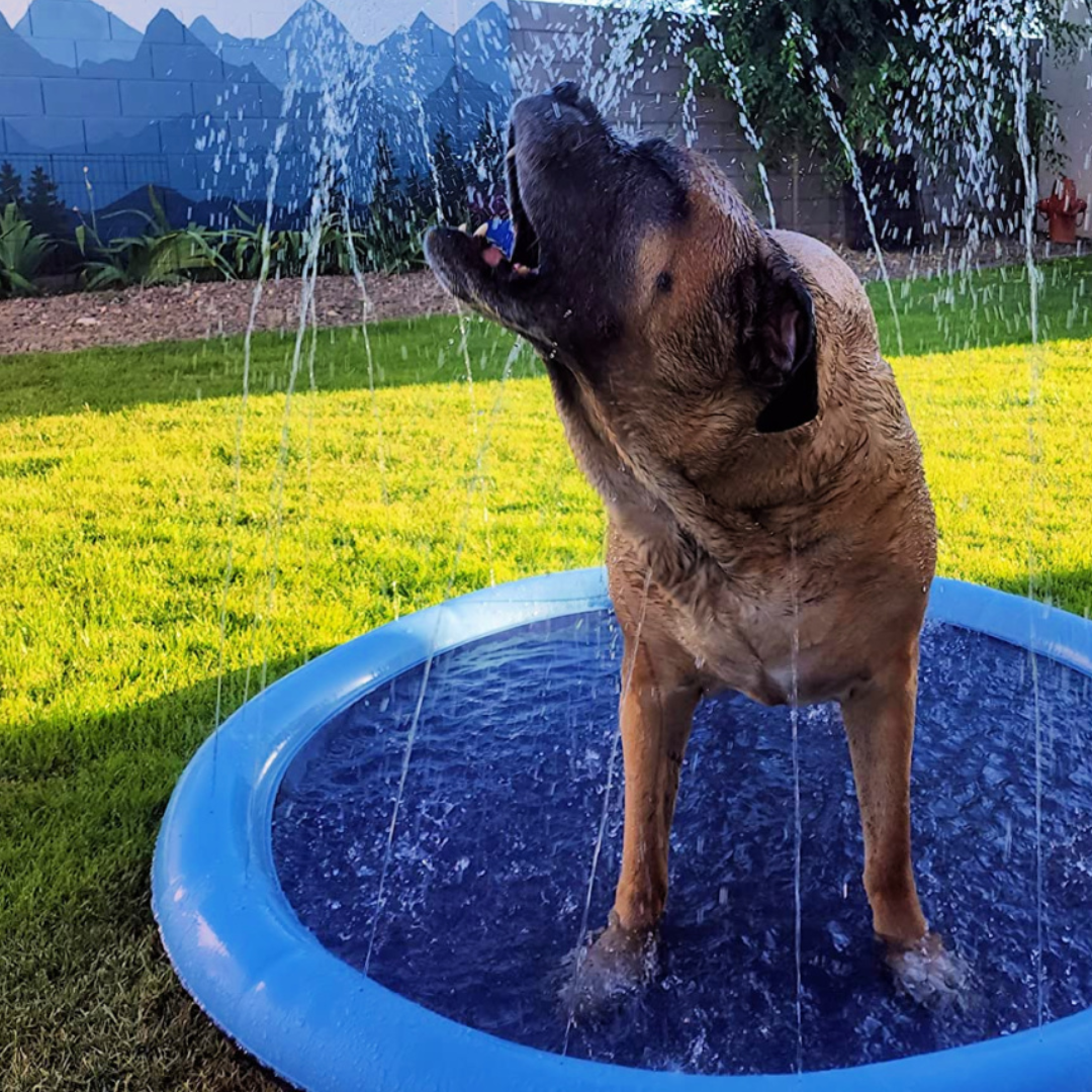 Dog Sprinkler Pad Inflatable PVC Cooling Mat Splash Pad Outdoor Summer Water Play Mat Small Medium Large Dogs Portable Garden | Koossa