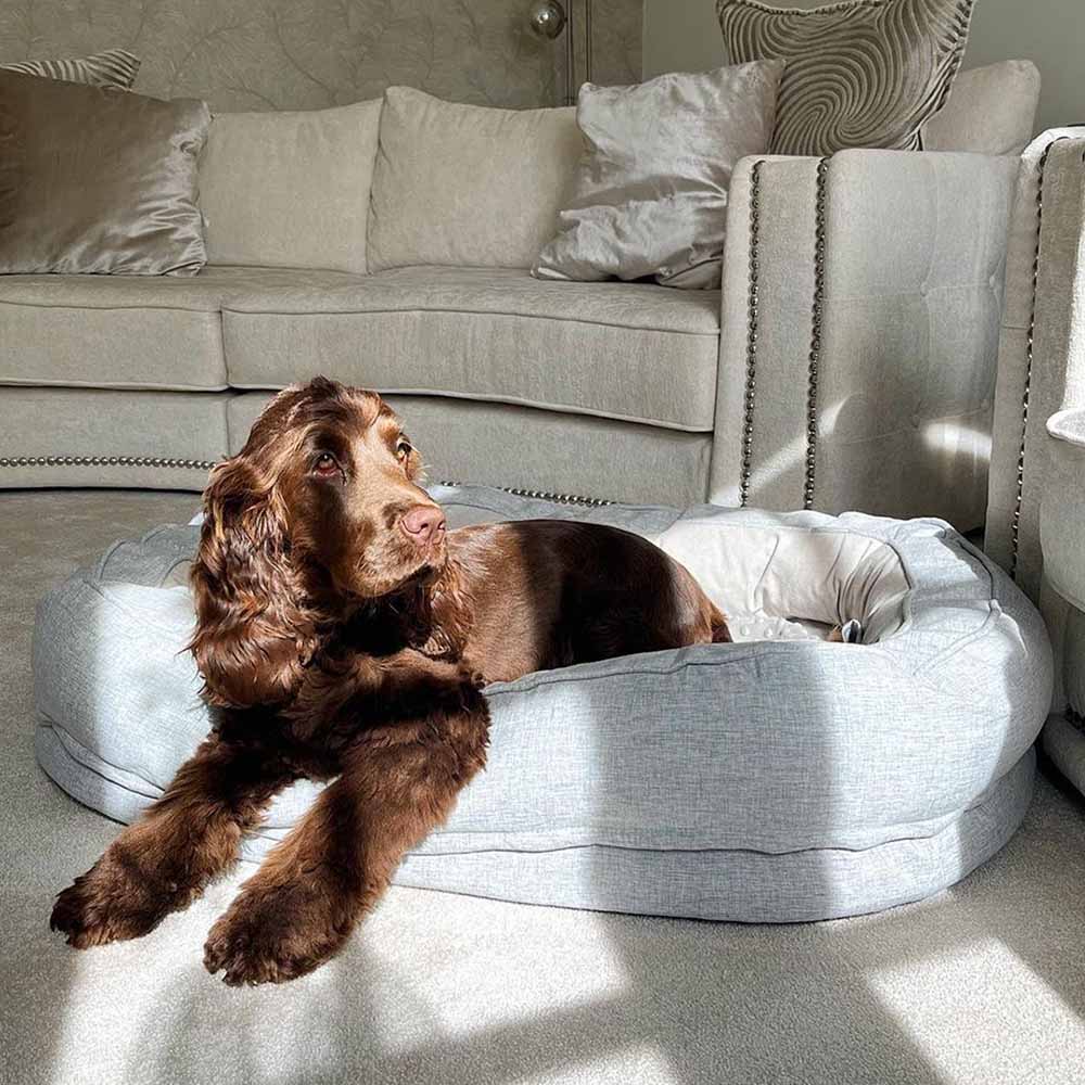 Dog Bed Donut Oval Orthopaedic Foam M L XL 2XL Waterproof Washable Anti-Slip Calming Cuddler Pet Sofa Bed | Koossa