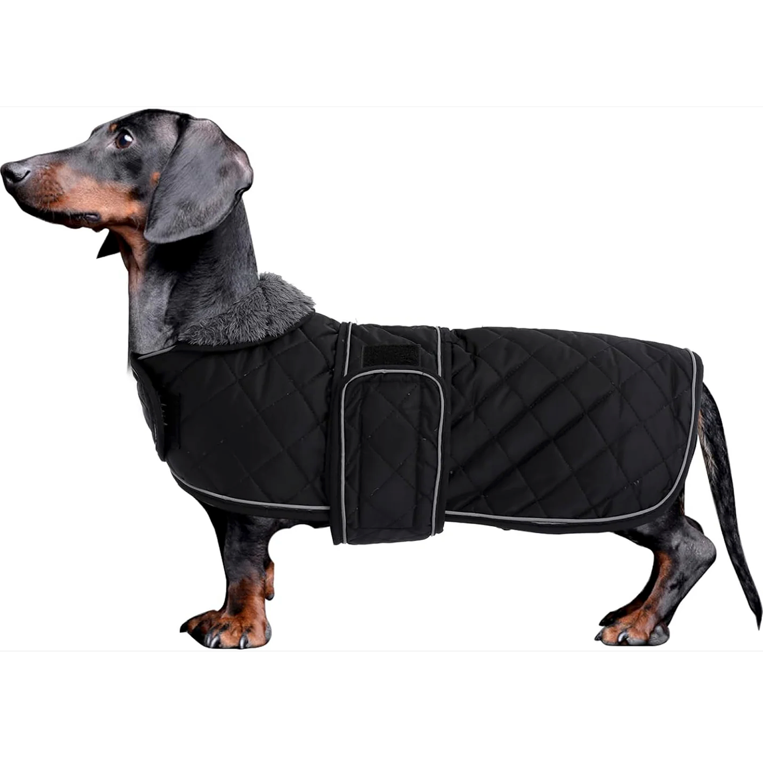 Dachshund Winter Coat Water-Resistant Windproof 3-Layer Fleece Lined Reflective Quilted Dog Jacket S–XL Sausage Dog | Koossa