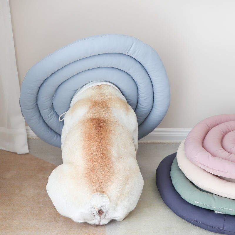 Recovery Cone Adjustable Soft Cotton Dog Cat E-Collar Post-Surgery Wound Protection Buster Collar Elizabethan Collar Pet | Koossa