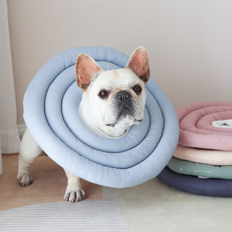 Recovery Cone Adjustable Soft Cotton Dog Cat E-Collar Post-Surgery Wound Protection Buster Collar Elizabethan Collar Pet | Koossa