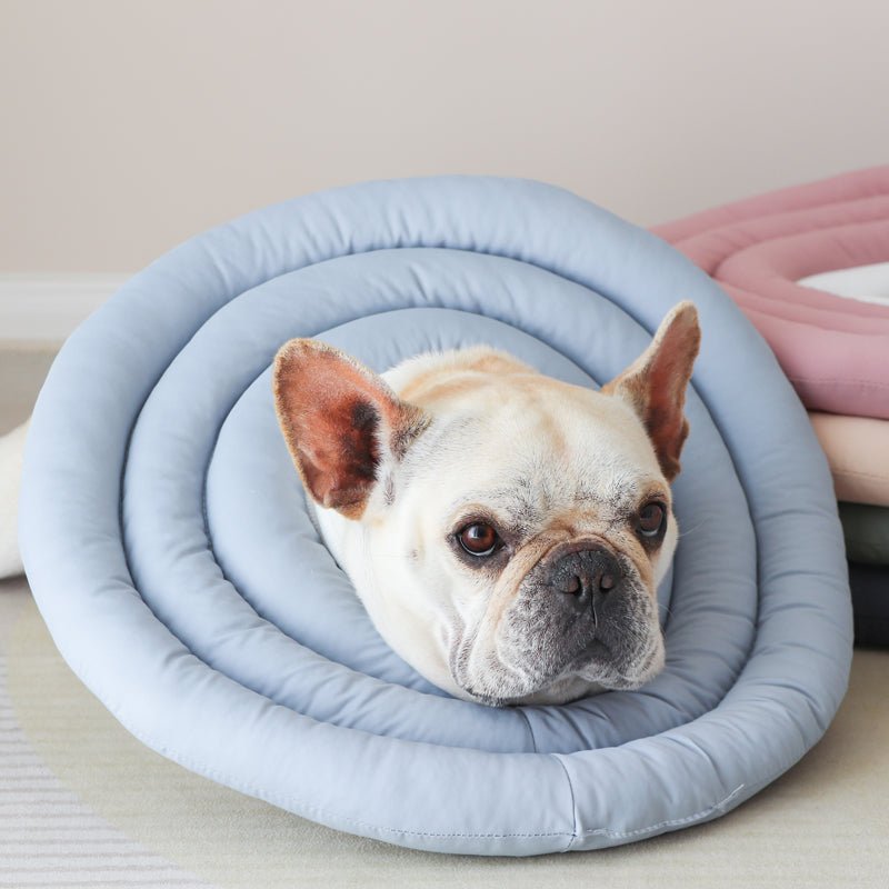 Recovery Cone Adjustable Soft Cotton Dog Cat E-Collar Post-Surgery Wound Protection Buster Collar Elizabethan Collar Pet | Koossa