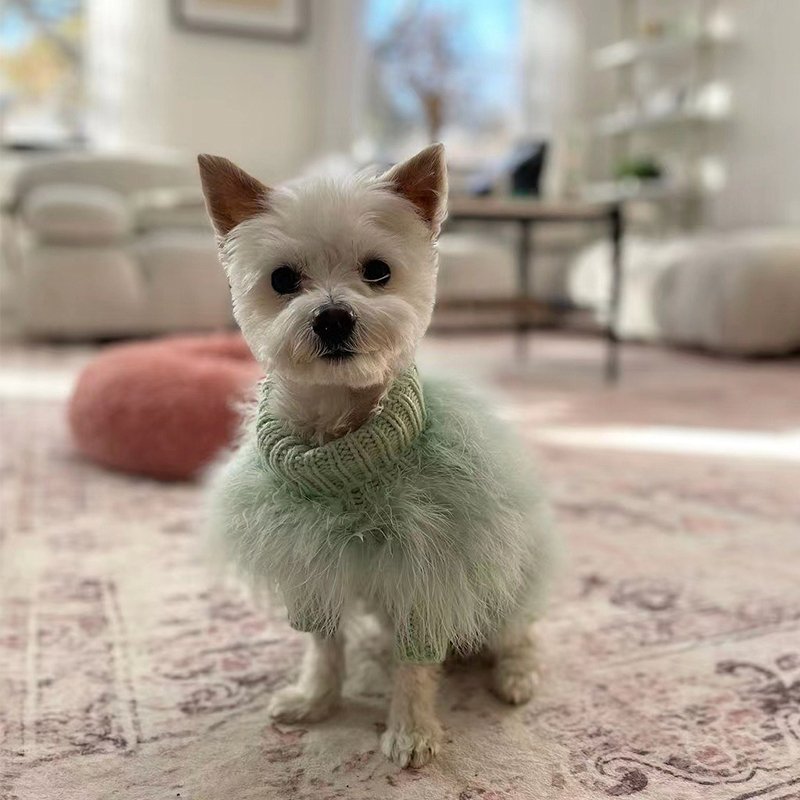Dog Faux Fur Sweater 100% Polyester Stretchy Italian Greyhound Whippet Fluffy Coat Plush Dog Jumper Slim Breed S–XL Pink Blue Purple Green | Koossa