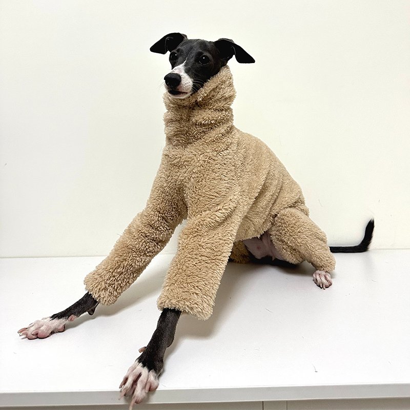 Dog Fleece Jumpsuit Double-Sided Plush Whippet Greyhound Sizes 1–10 Warm Winter Onesie Iggy Clothes | Koossa