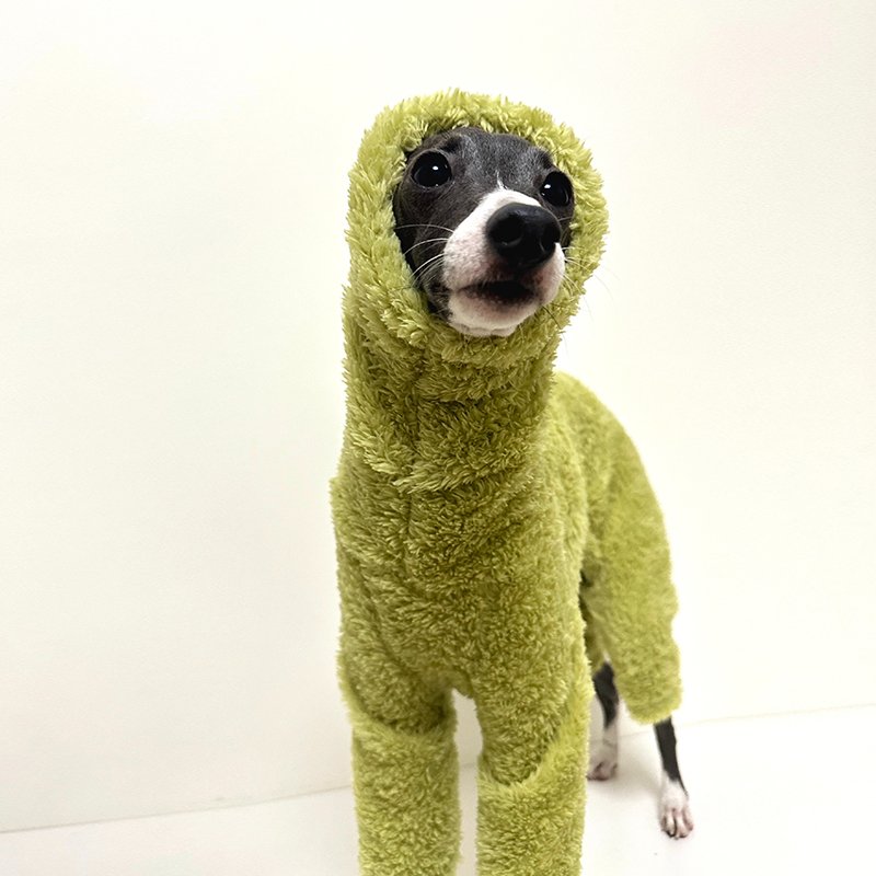 Dog Fleece Jumpsuit Double-Sided Plush Whippet Greyhound Sizes 1–10 Warm Winter Onesie Iggy Clothes | Koossa