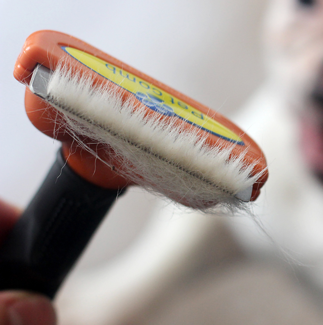 Dog Deshedding Brush Self-Cleaning Button French Bulldog Short Coat Grooming Tool Ergonomic Handle Shedding Remover Fur Comb | Koossa
