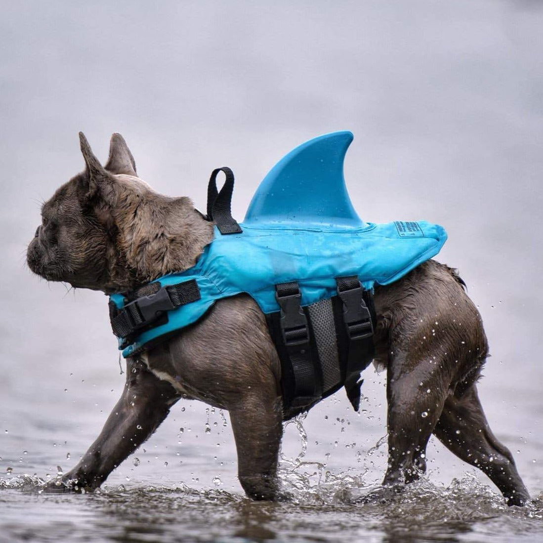 Dog Life Jacket Shark Fin Buoyant Diving Fabric French Bulldog Swim Vest Quick-Release Buckle Grab Handle D-Ring Water Safety | Koossa