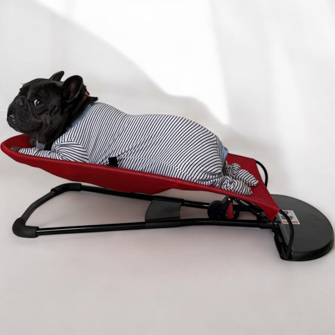 Dog Rocking Lounger Foldable Breathable French Bulldog Elevated Bed Antibacterial Fabric Portable Indoor Outdoor Small Dog Bouncer | Koossa