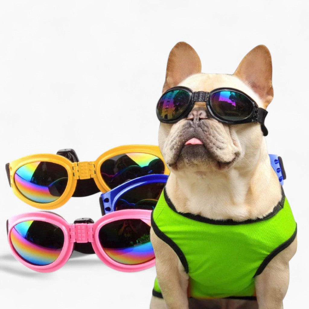 Dog Goggles UV Protection Anti-Fog Waterproof French Bulldog Sunglasses Flat-Face Fit Adjustable Strap Small Dog Eye Protection | Koossa