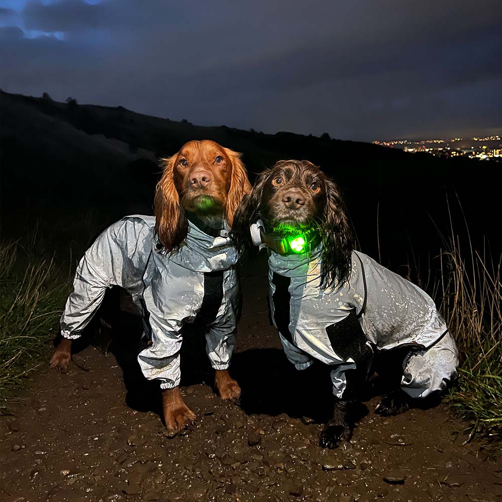 Dog Raincoat Reflective Waterproof Polyester All-Around Visibility Windproof UV Protection Adjustable Dog Jacket Coat | Koossa