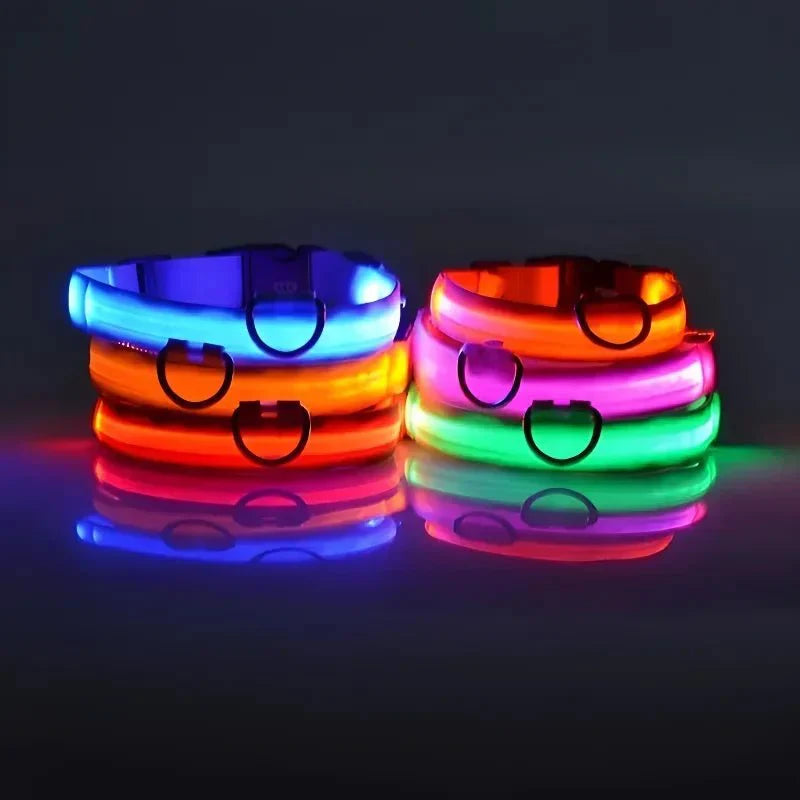 LED Dog Collar USB Rechargeable Flashing Constant Light Nylon Adjustable Night Walking Safety Visible | Koossa