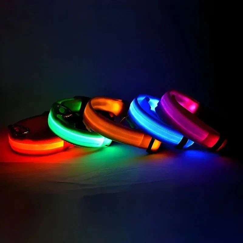 LED Dog Collar USB Rechargeable Flashing Constant Light Nylon Adjustable Night Walking Safety Visible | Koossa