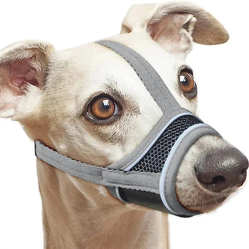 Dog Muzzle Nylon Mesh Breathable Reflective XS–XXL Adjustable Soft Vet Walking Training Basket Muzzle All Breeds | Koossa