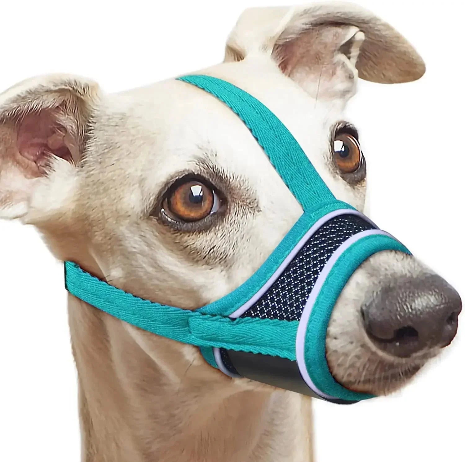 Dog Muzzle Nylon Mesh Breathable Reflective XS–XXL Adjustable Soft Vet Walking Training Basket Muzzle All Breeds | Koossa