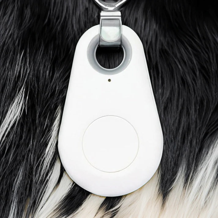 Pet Tracker with Live Location Finder, Bluetooth App Control, Waterproof Design for Dogs & Cats | Lonoma