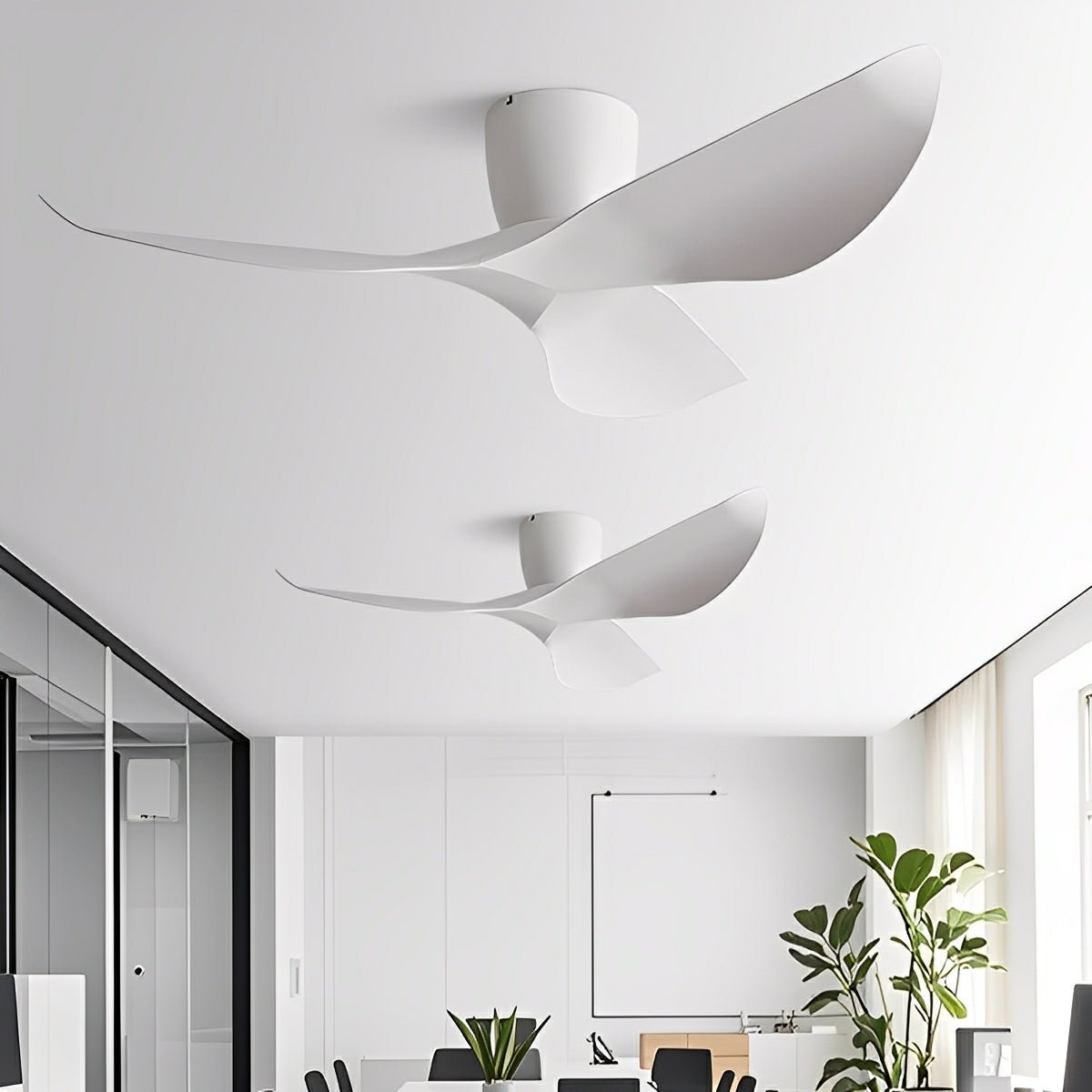 Reversible DC Motor Ceiling Fan, 38 or 52 Inch, 6-Speed Quiet Fan for Bedroom, Living Room, Dining Room & Year-Round Airflow | Lonoma
