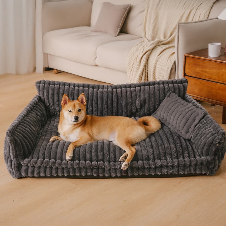 Orthopaedic Dog Bed Memory Foam Joint Support Washable Cover Plush Cushion Medium Large XL XXL Arthritis Pain Relief Older Dogs | Koossa