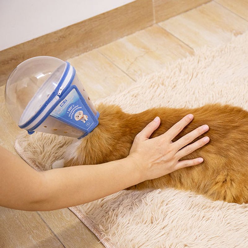 Pet Recovery Collar Transparent Plastic 360° Anti-Lick Anti-Bite Lightweight Cat Dog Cone Post-Surgery | Koossa