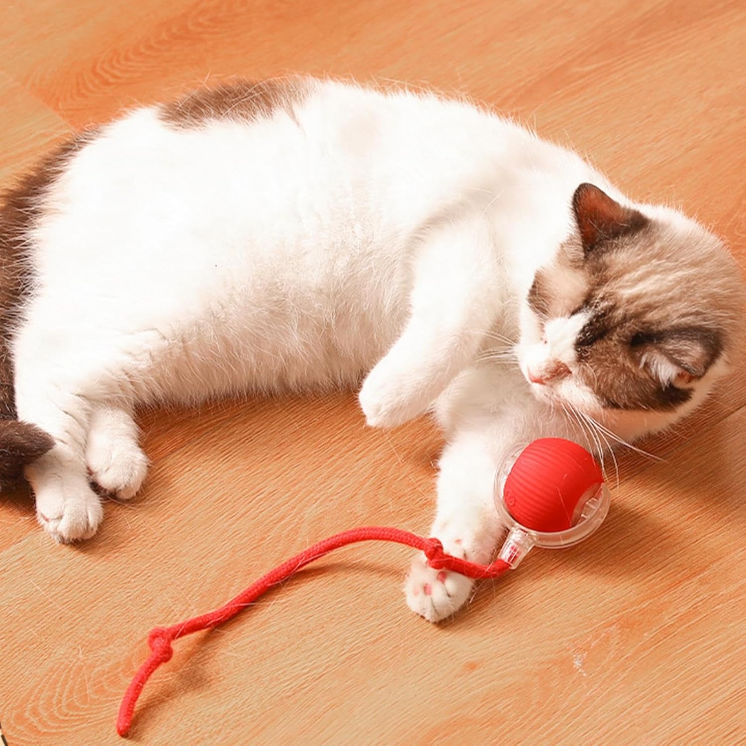 Cat Dog Interactive Rolling Ball ABS Silicone 7cm Rechargeable 90min Touch Sensor Obstacle Avoid Silent Auto Ball | Koossa
