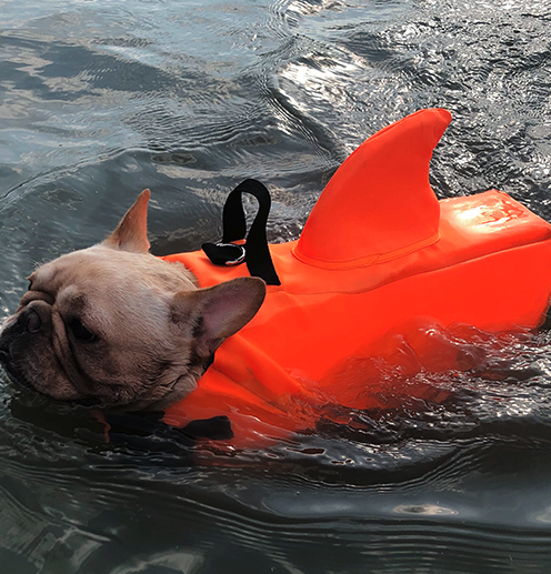 Dog Life Jacket Shark Fin Buoyant Diving Fabric French Bulldog Swim Vest Quick-Release Buckle Grab Handle D-Ring Water Safety | Koossa