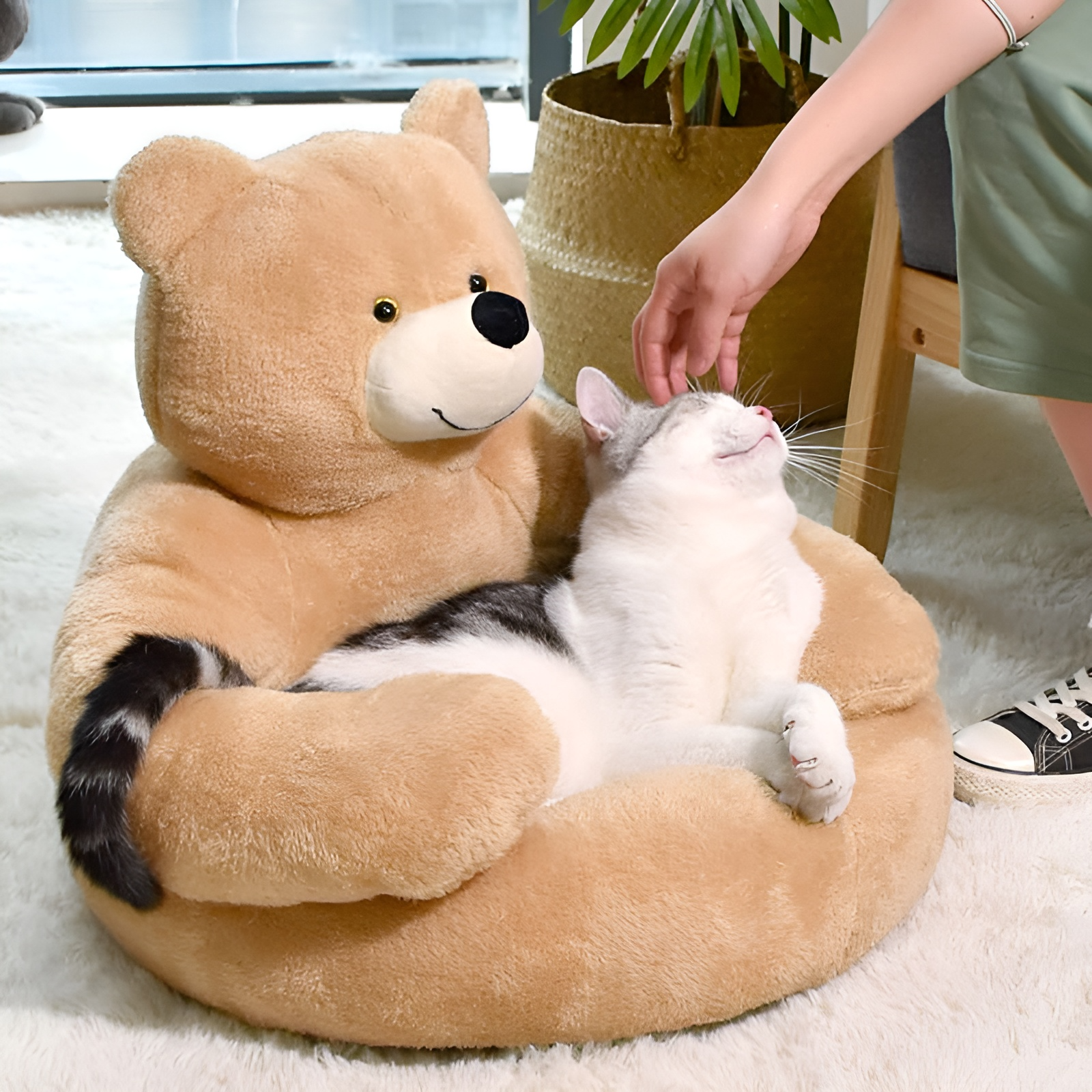 Dog Cat Bed Teddy Bear Plush Small Medium Large Cat Pet Cushion Washable Soft Cosy Round | Koossa