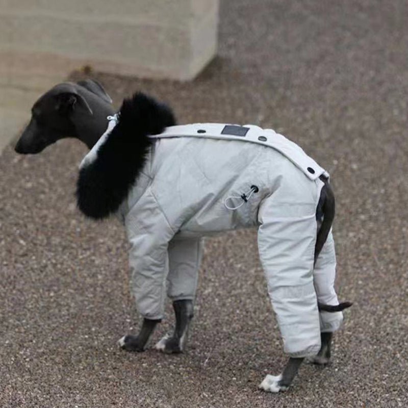 Dog Snowsuit Quilted Cotton Full Body Silver Italian Greyhound Whippet Winter Jacket Padded All-in-One Cold Weather Coat | Koossa