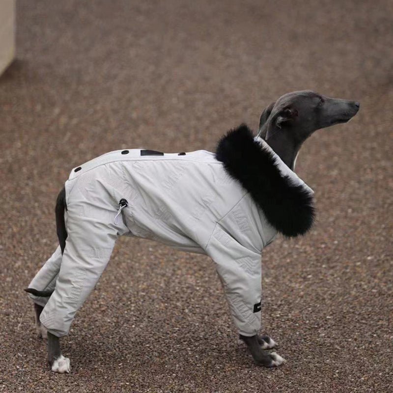 Dog Snowsuit Quilted Cotton Full Body Silver Italian Greyhound Whippet Winter Jacket Padded All-in-One Cold Weather Coat | Koossa